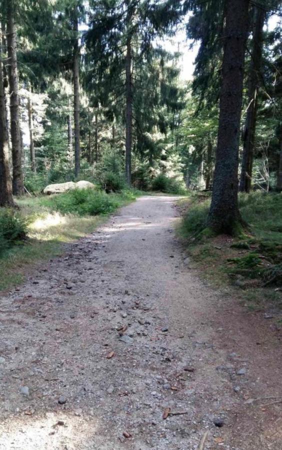 Bergerlebnis Natur Pur Sankt Englmar Exteriör bild